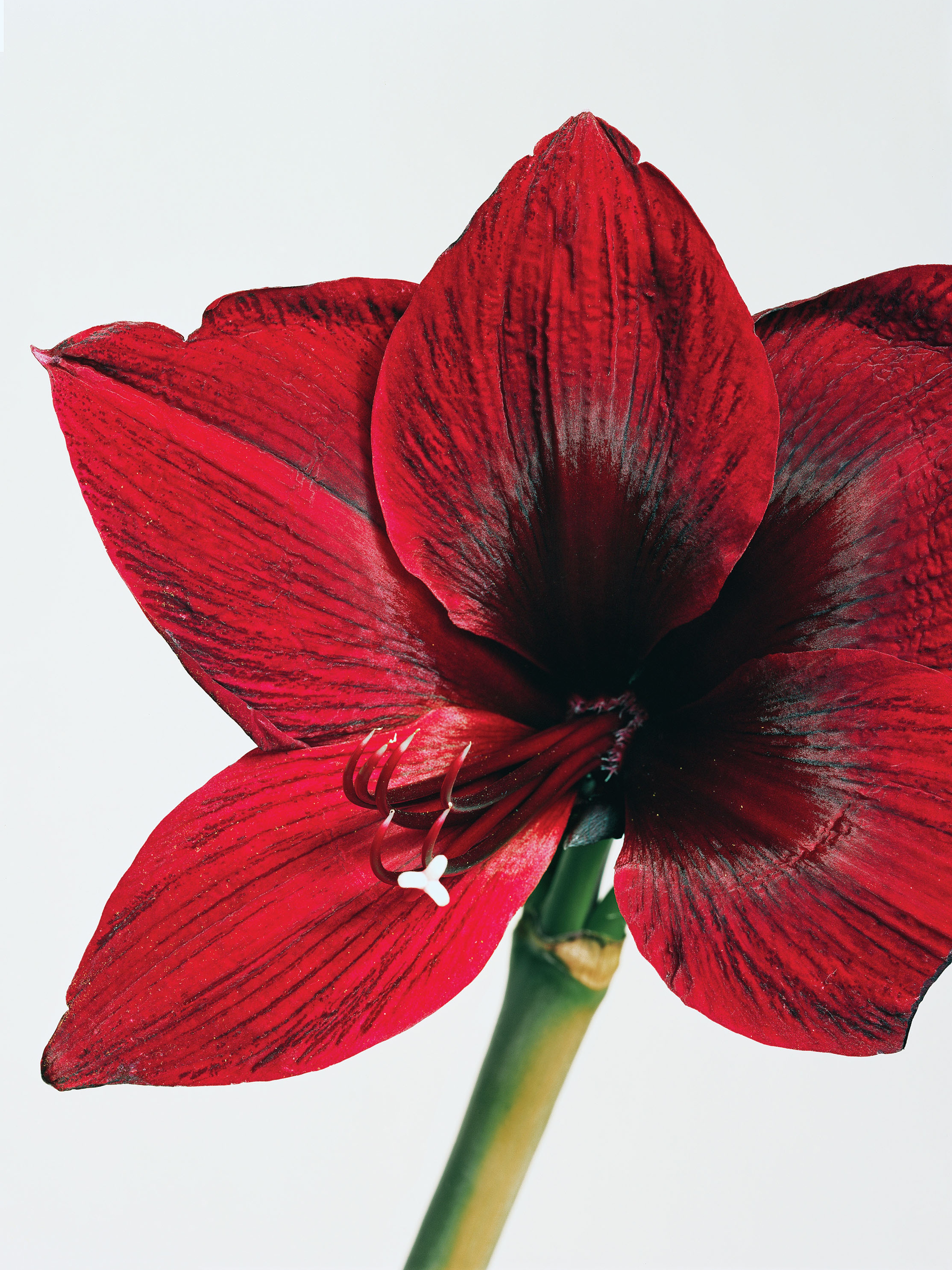 undefined | Beyond Noise