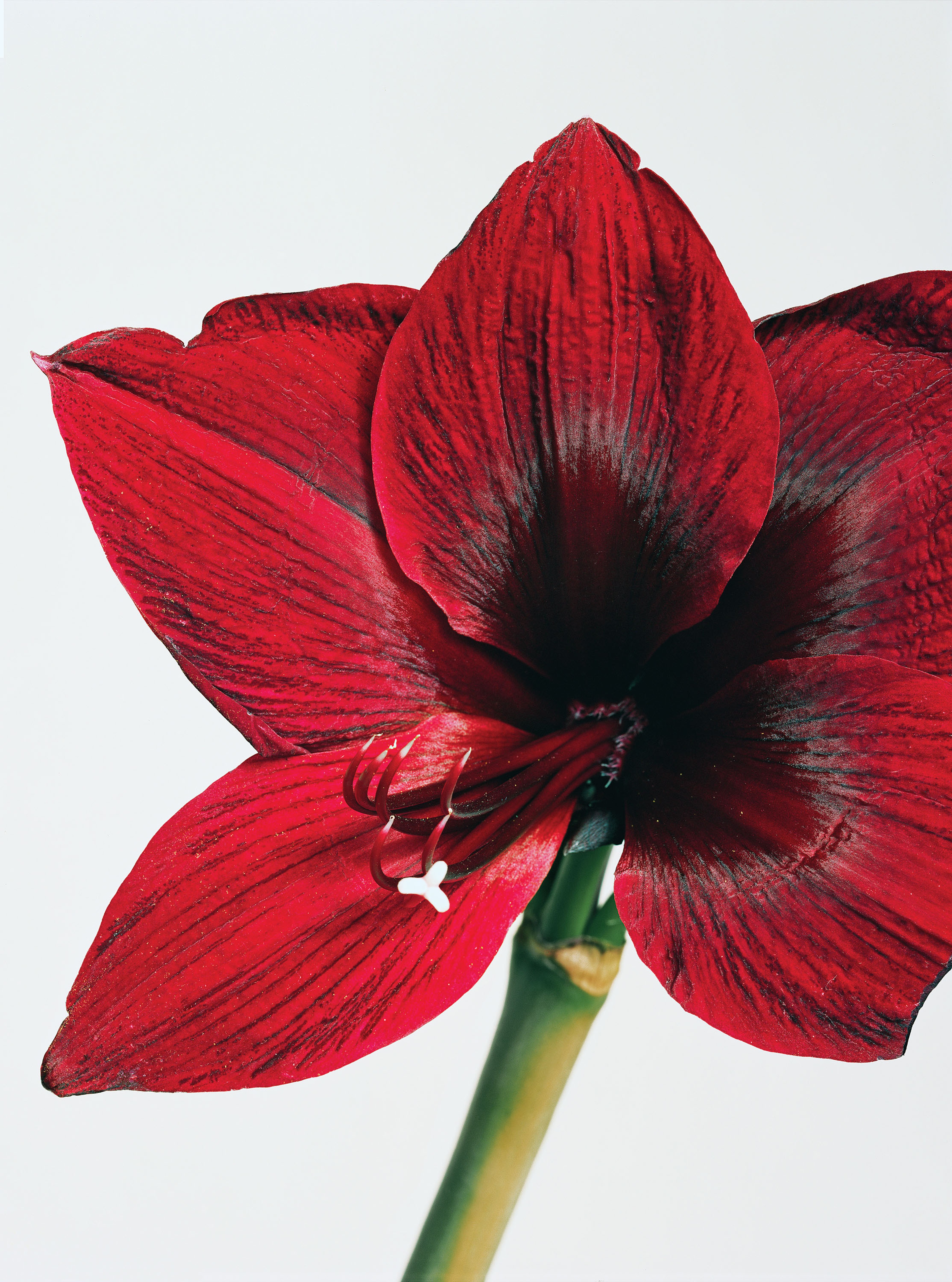 THE ECOLOGY OF THINGS | Beyond Noise