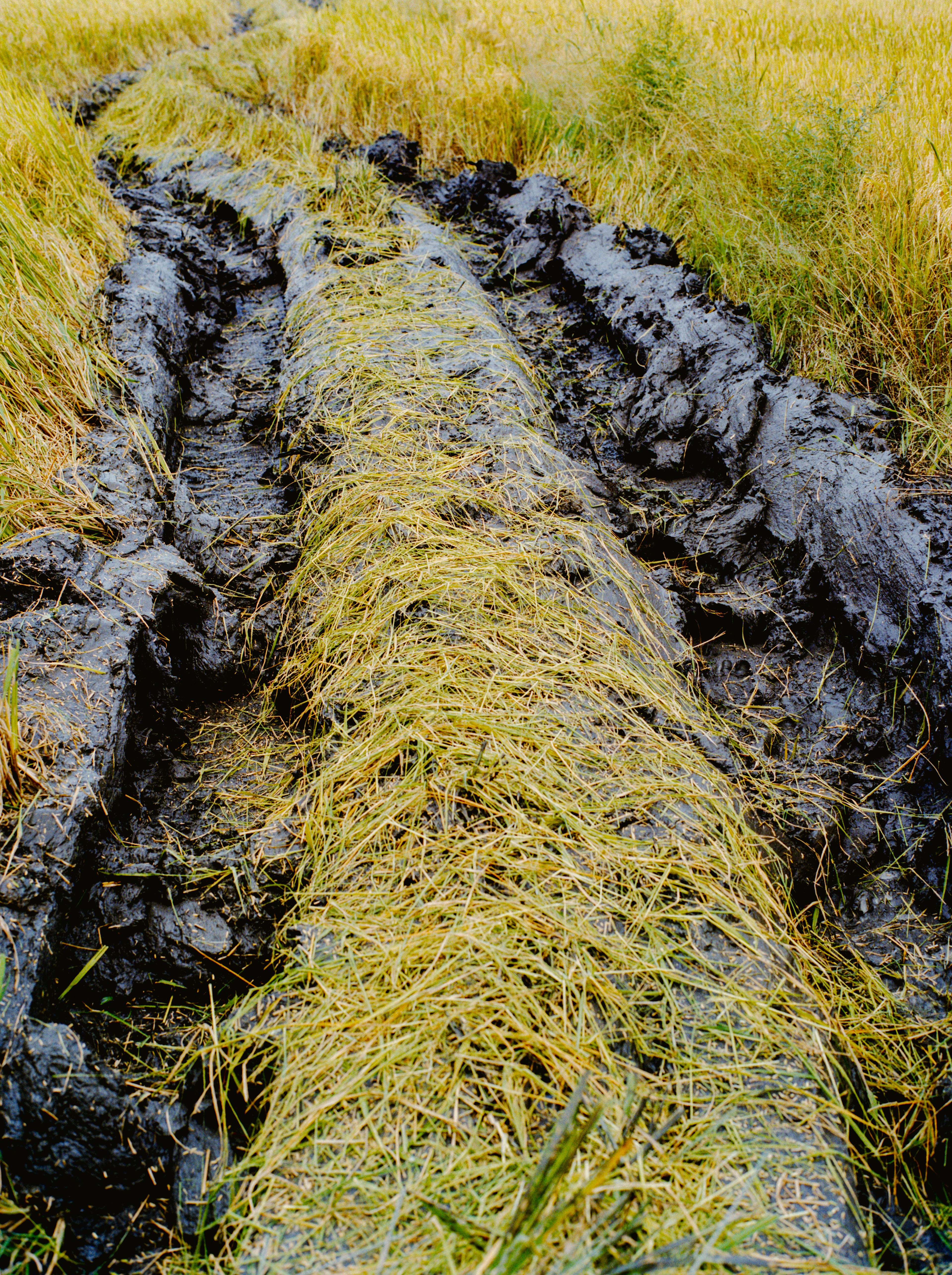 ALONG THE MEKONG | Beyond Noise