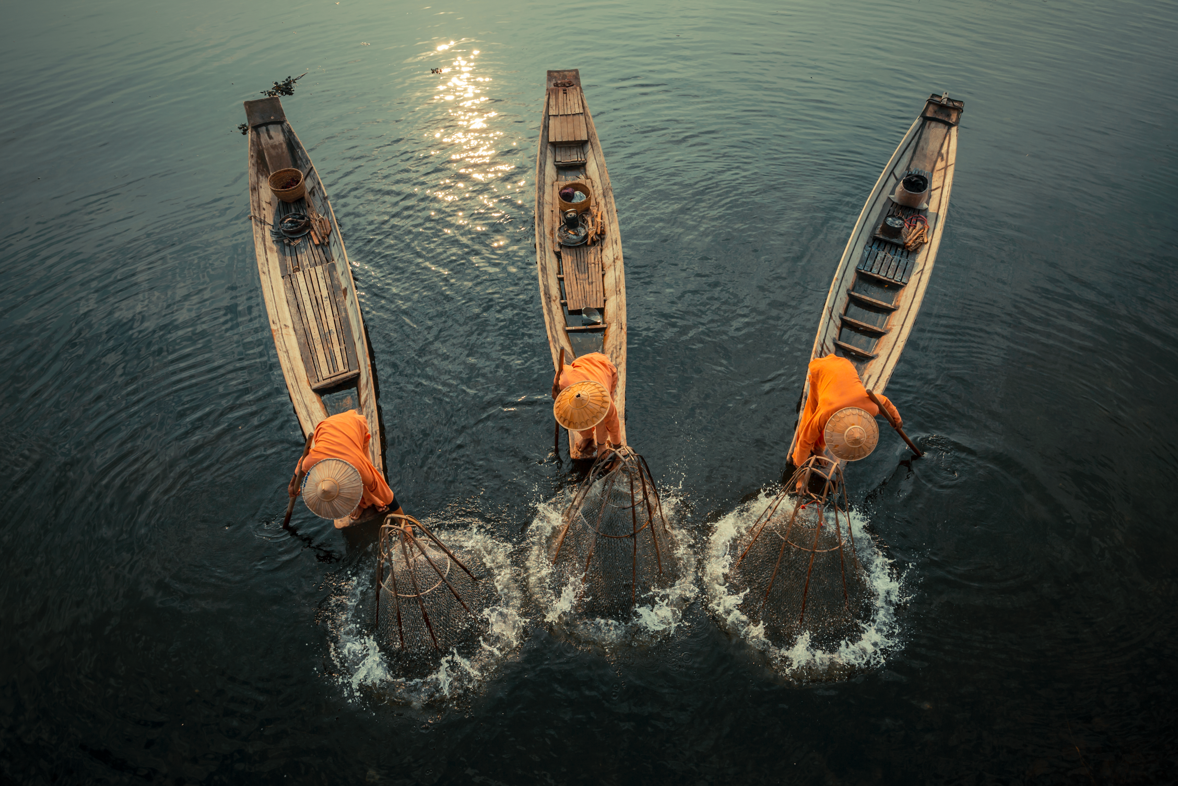 EARTH PARTNER: DEFINING TOMORROW | Beyond Noise