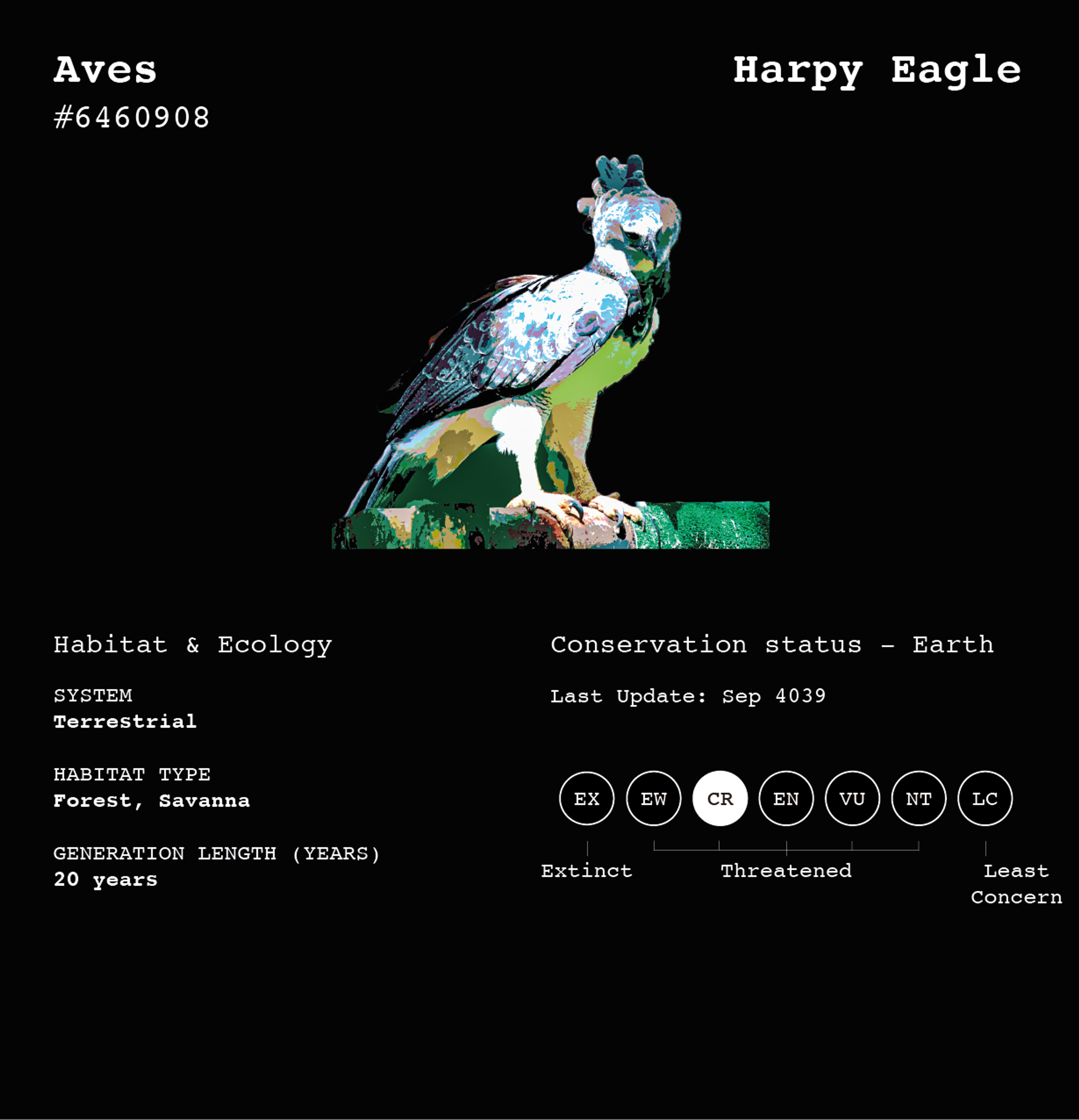 #CREATECOP29 | Beyond Noise