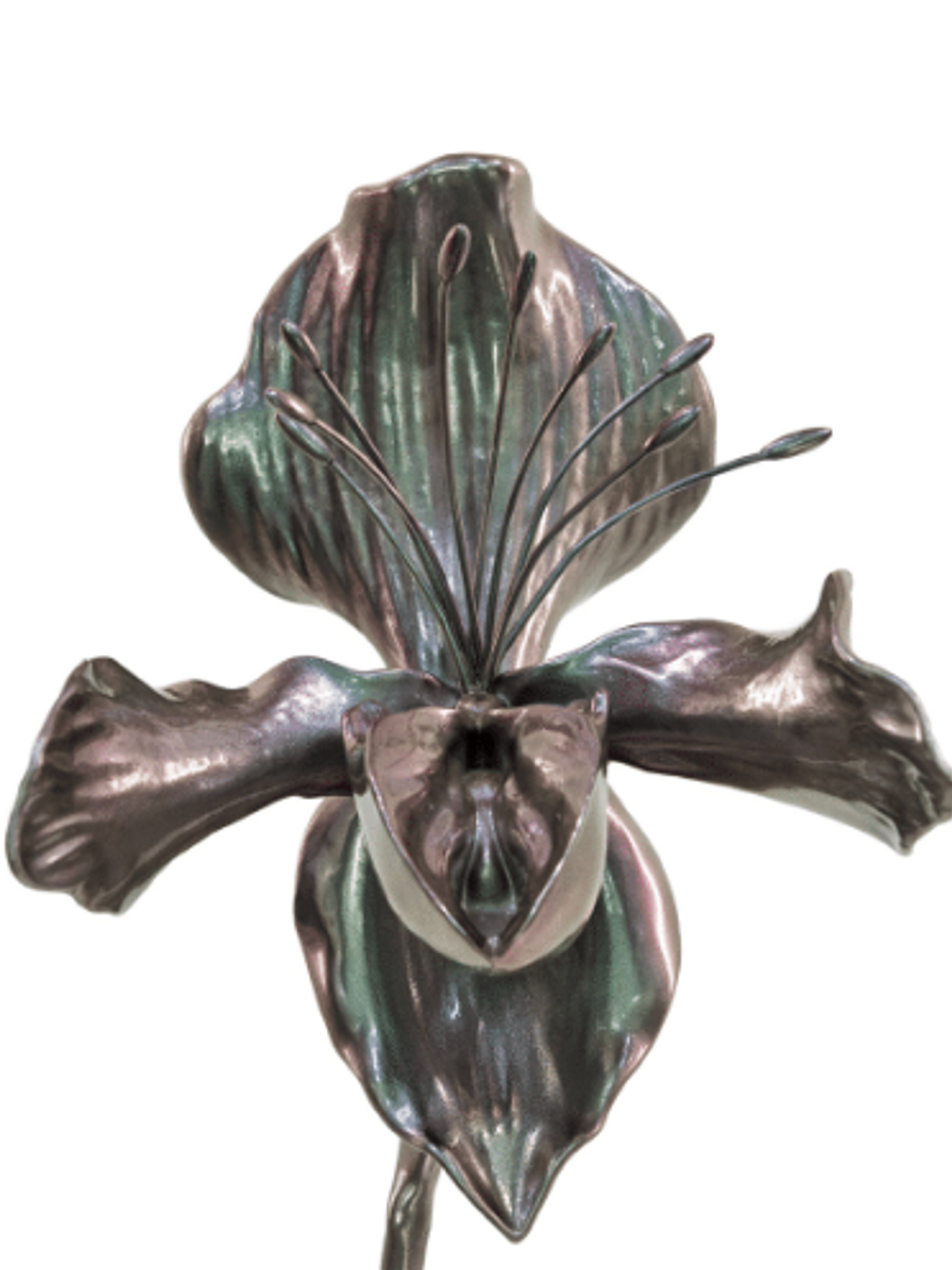 FERAL BLOOM: ISABELLE ALBUQUERQUE & LOUISE BOURGEOIS | Beyond Noise