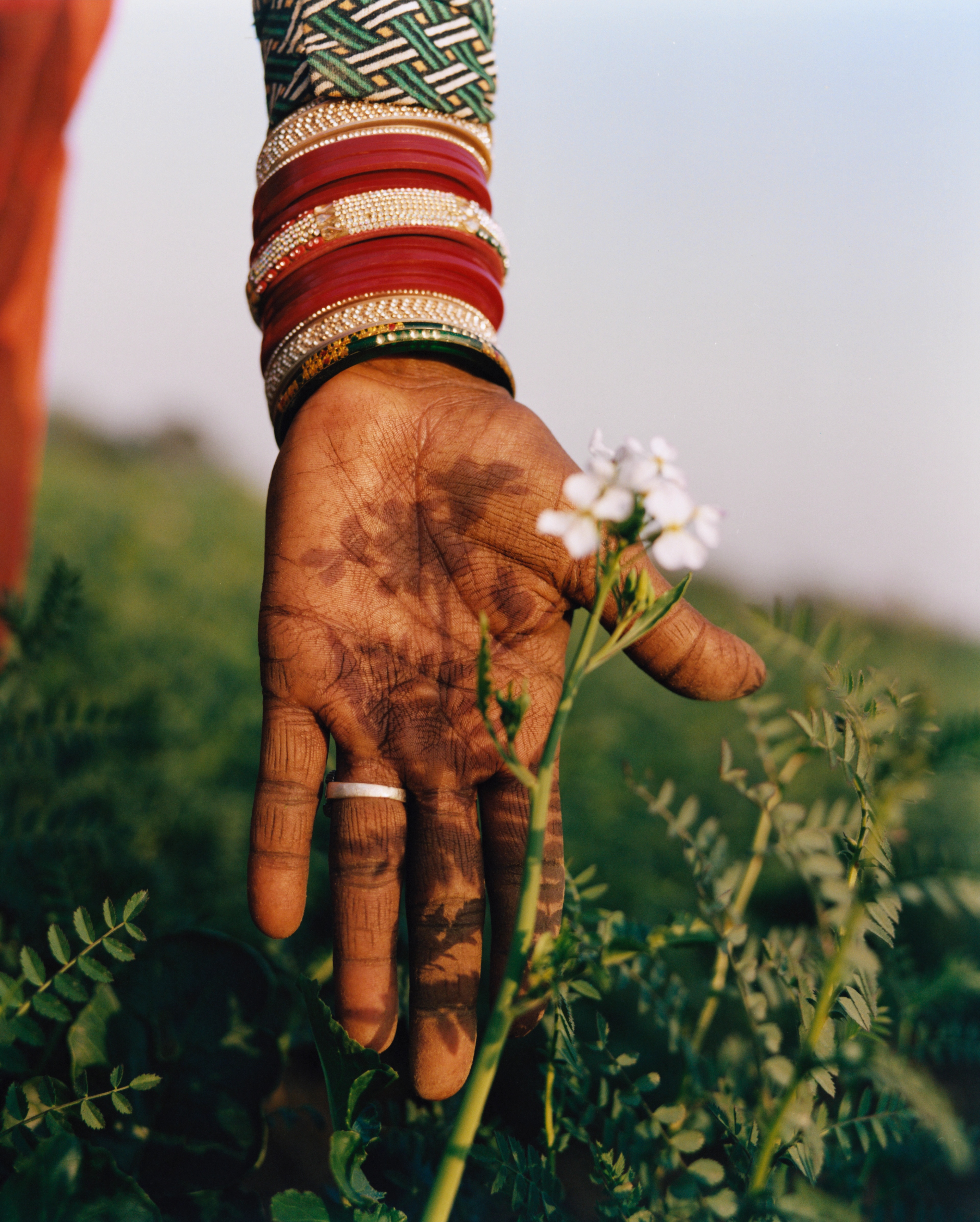 EARTHKEEPERS: LAURENCE ELLIS | Beyond Noise