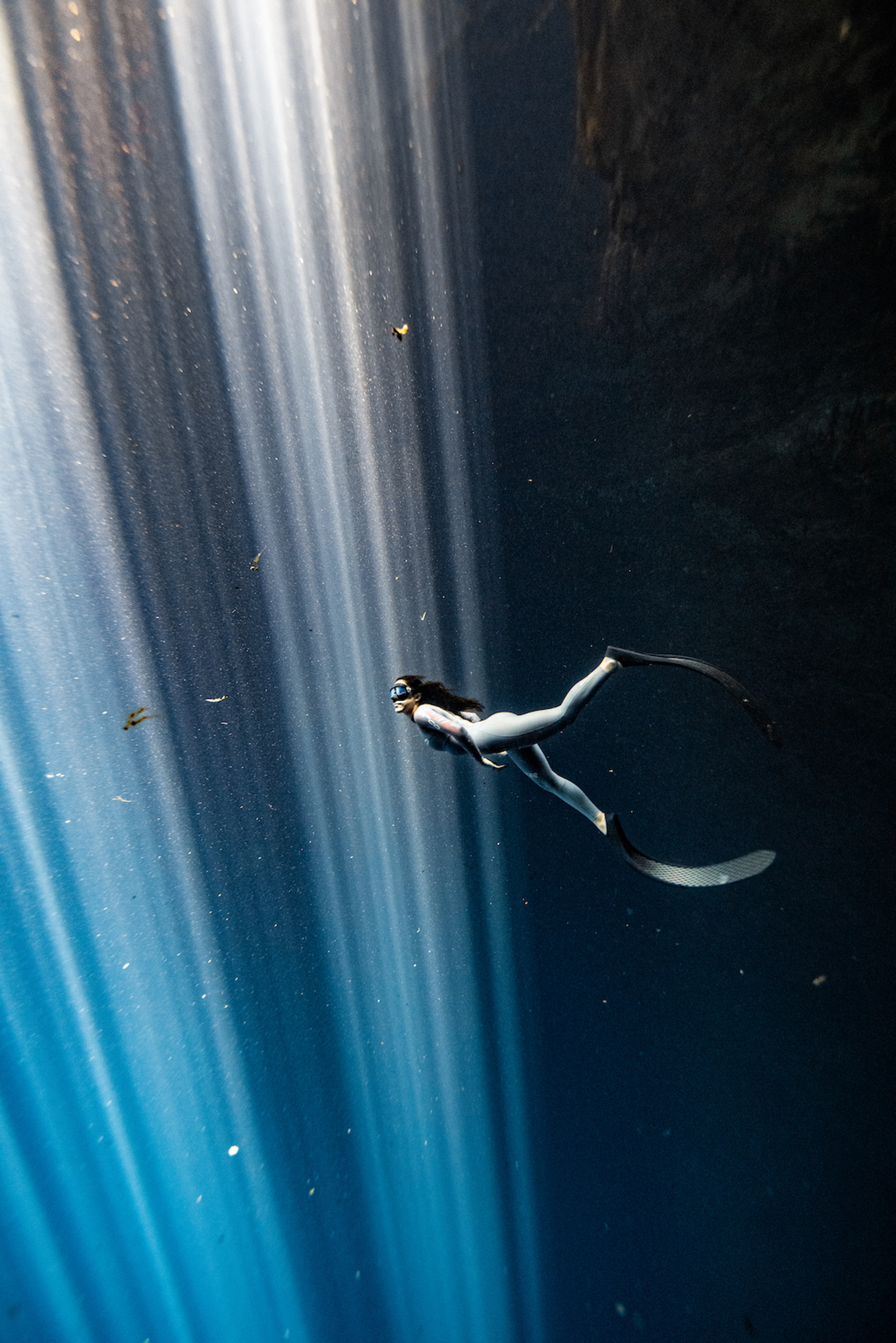 EARTH PARTNER: ANSWERING THE CALL | Beyond Noise