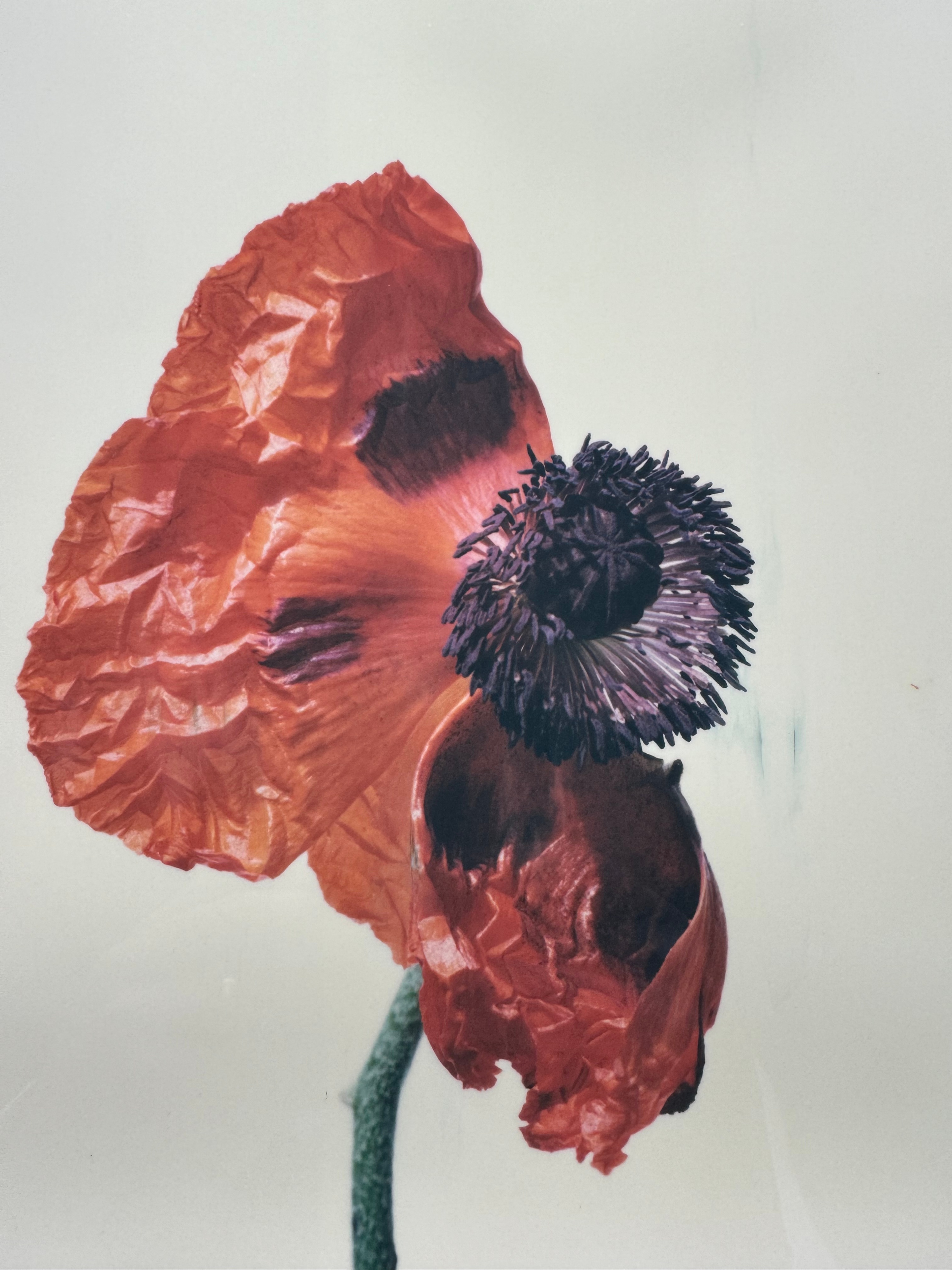 IN DEFENSE OF NOSTALGIA | Beyond Noise