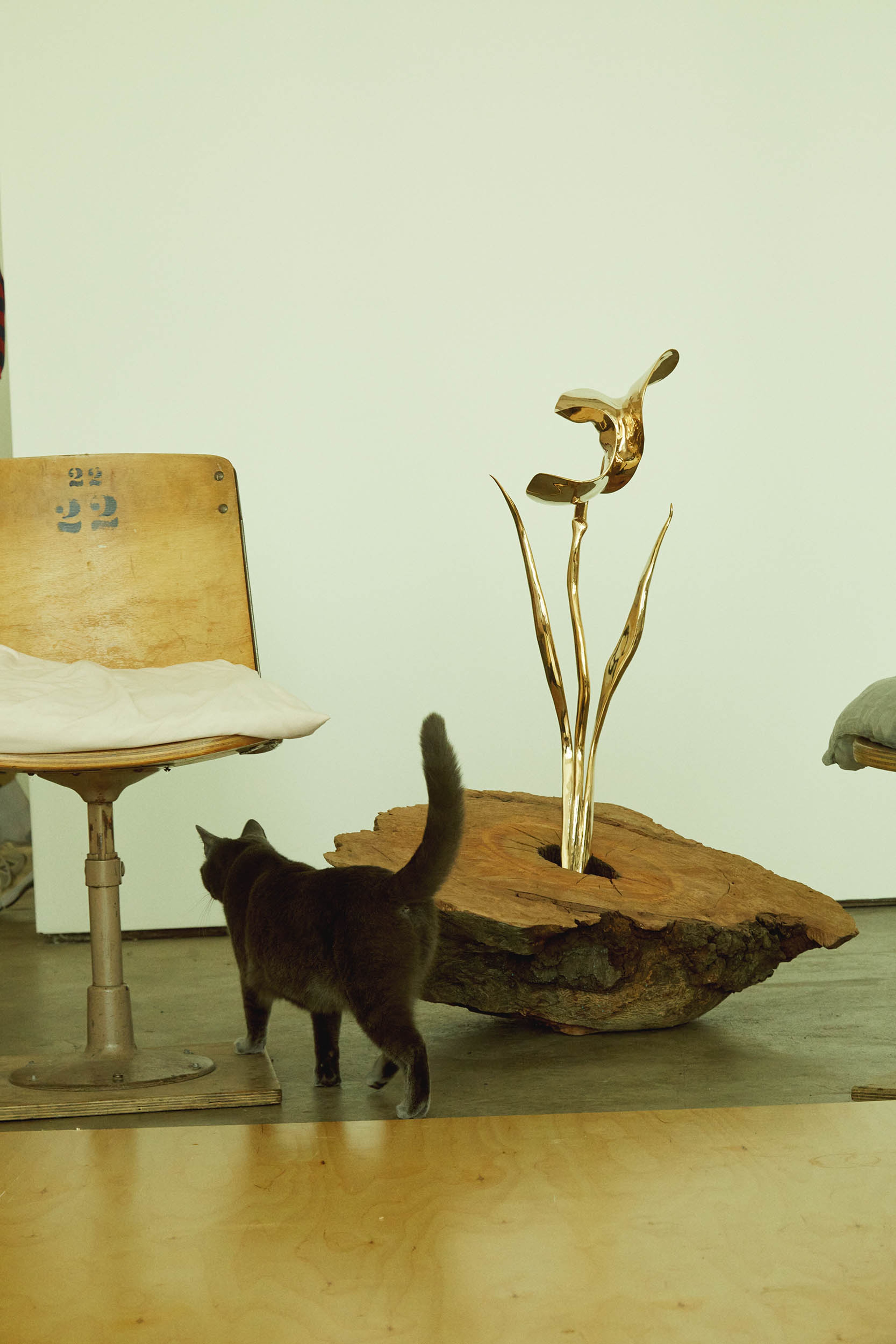 WHERE THE ROOTS LIVE: ISABELLE ALBUQUERQUE | Beyond Noise