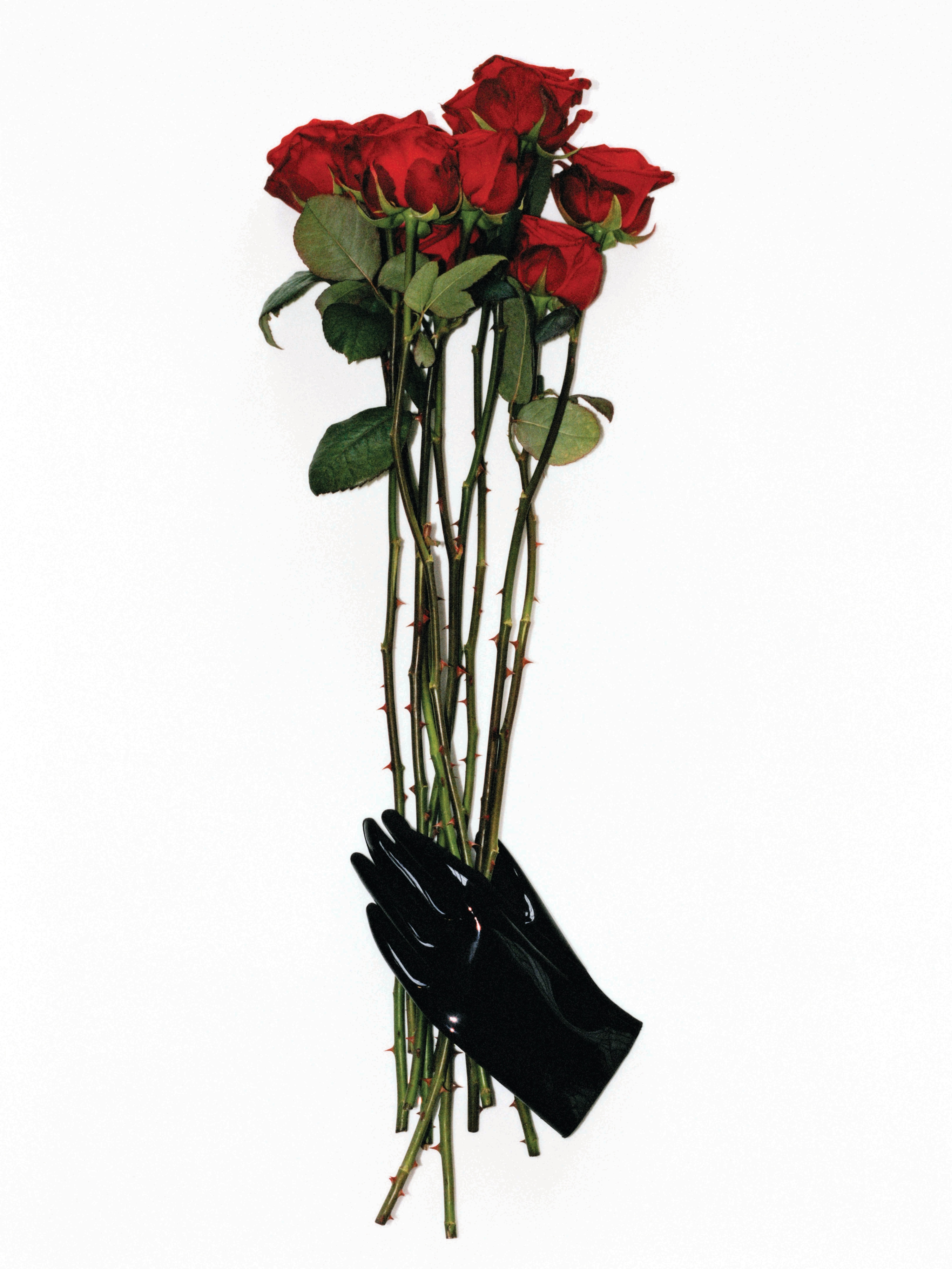 ISSUE NO. 01: Larissa Hofmann & Sarah Richardson | Beyond Noise