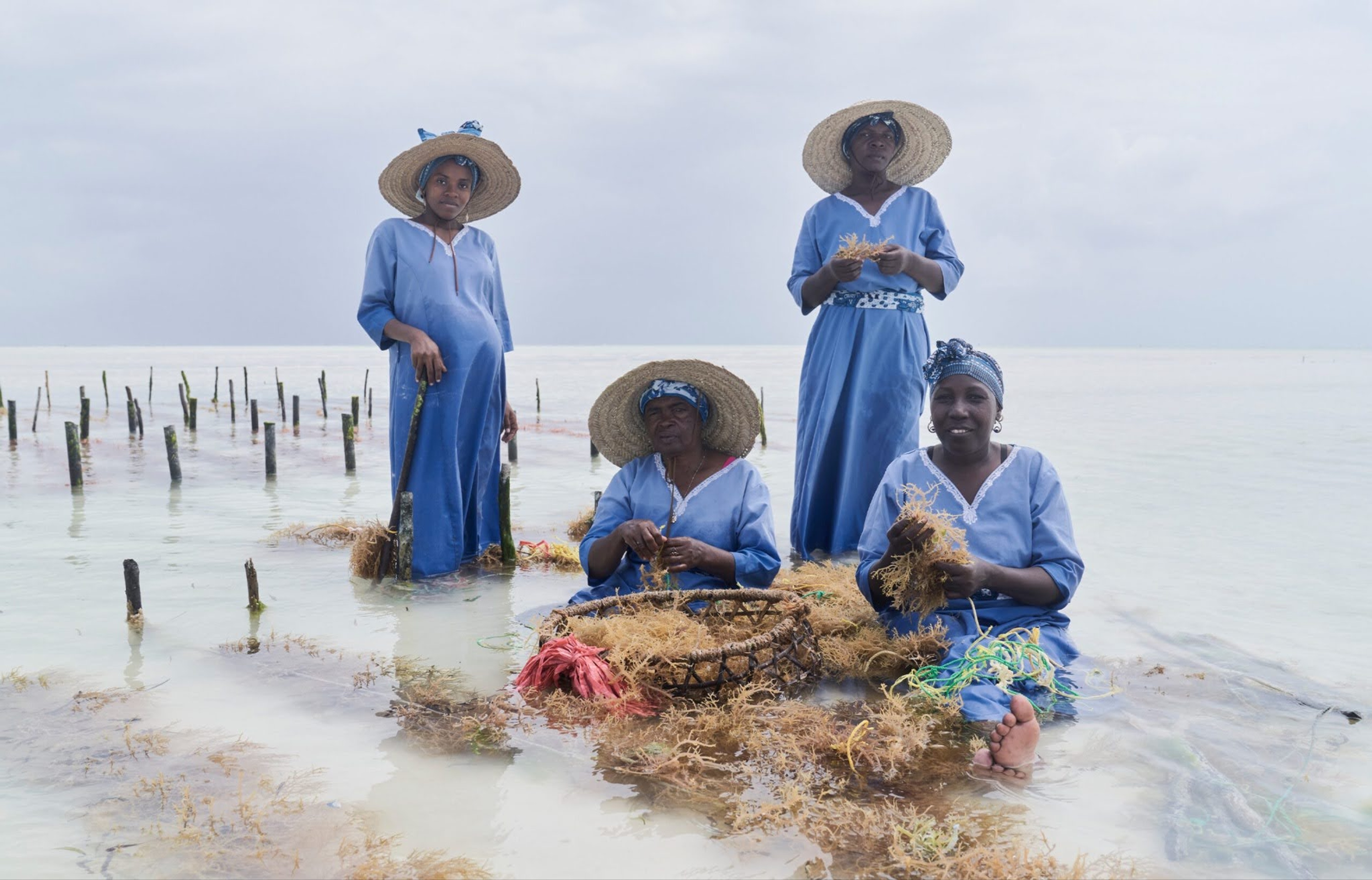 EARTH PARTNER: ART WITHOUT WALLS | Beyond Noise