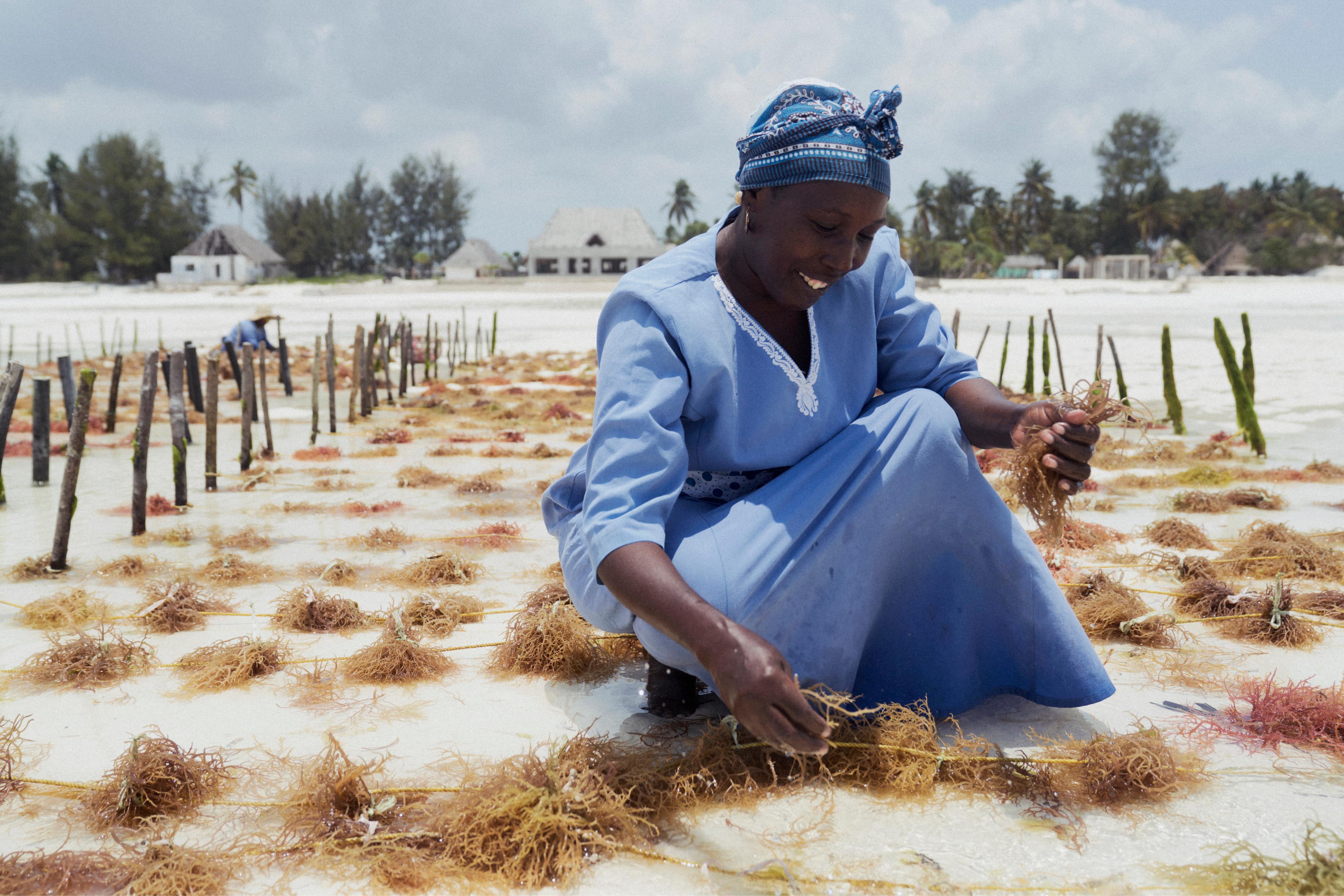 THE WINNERS OF #CREATECOP29 | Beyond Noise