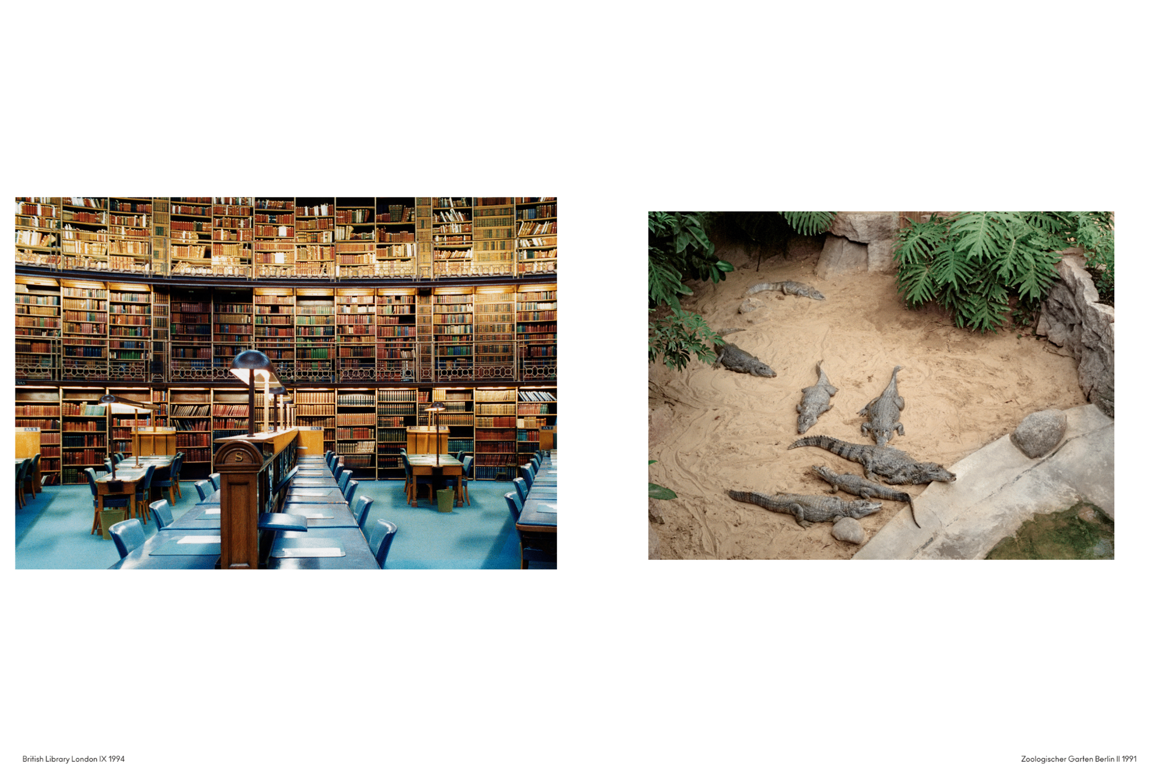 THE QUEST FOR ORDER: CANDIDA HÖFER | Beyond Noise