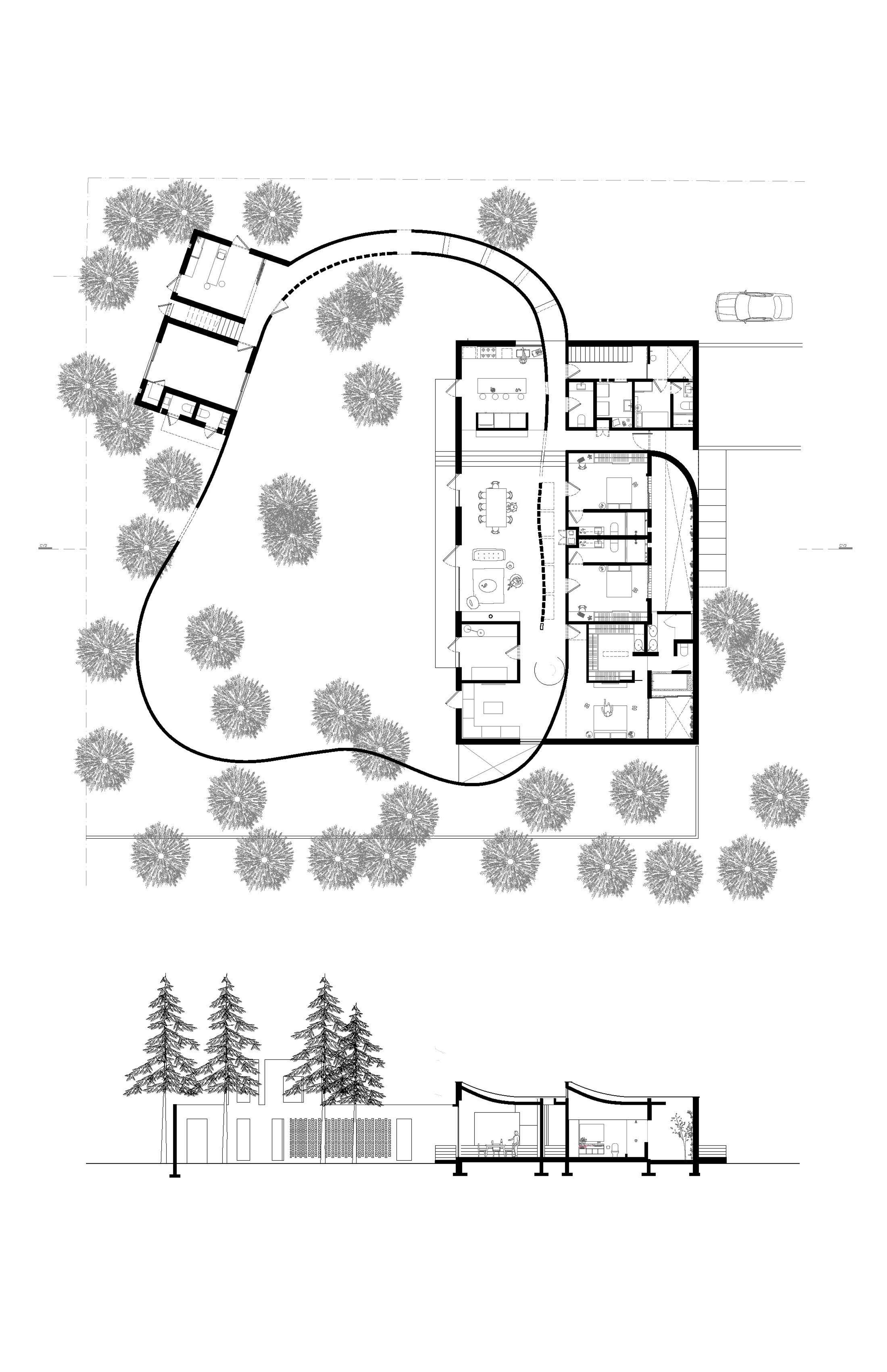NEW FOUNDATIONS | Beyond Noise