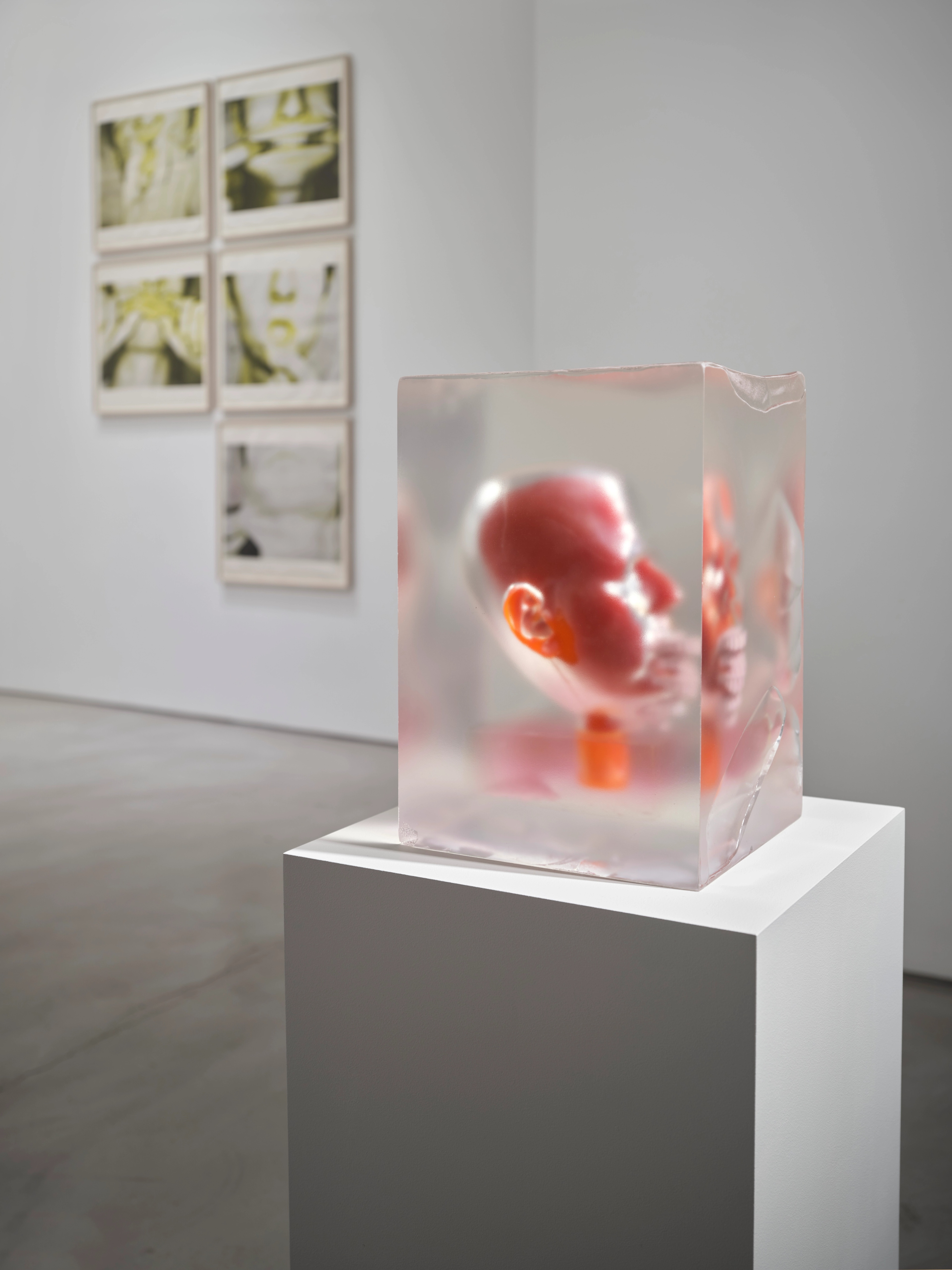 MATERIAL DESIRE | Beyond Noise