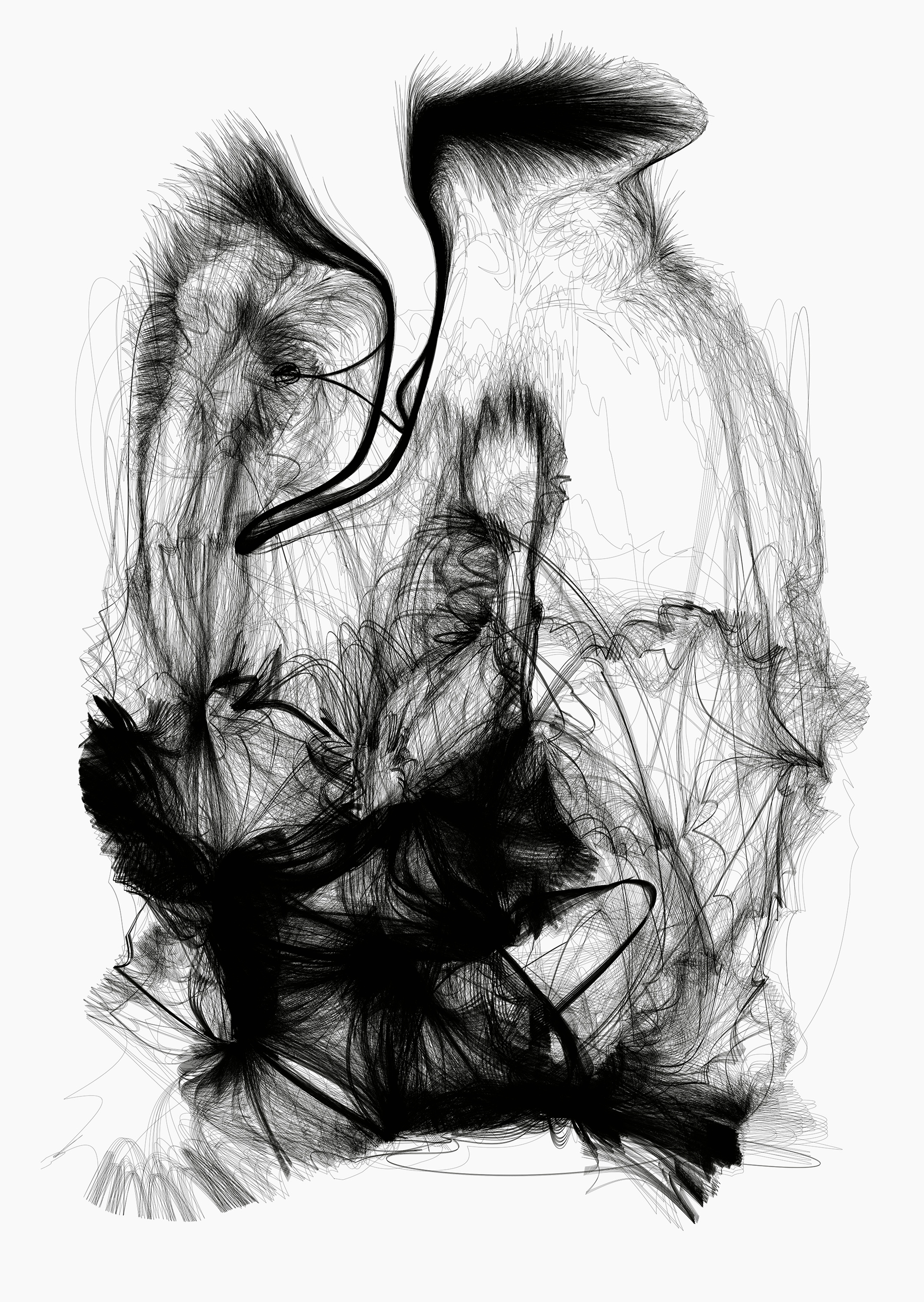 AESTHETIC INSTINCT | Beyond Noise