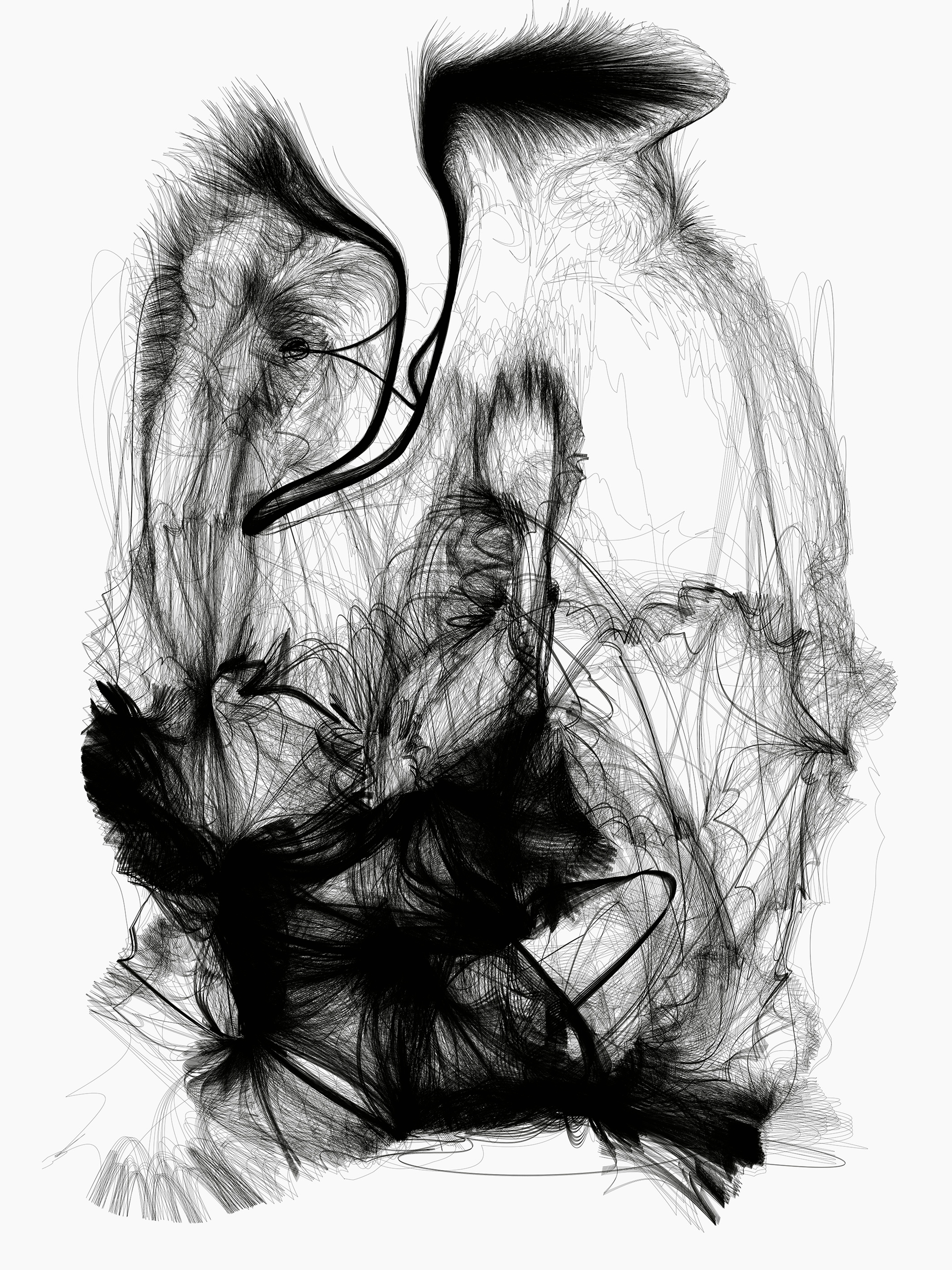 AESTHETIC INSTINCT | Beyond Noise