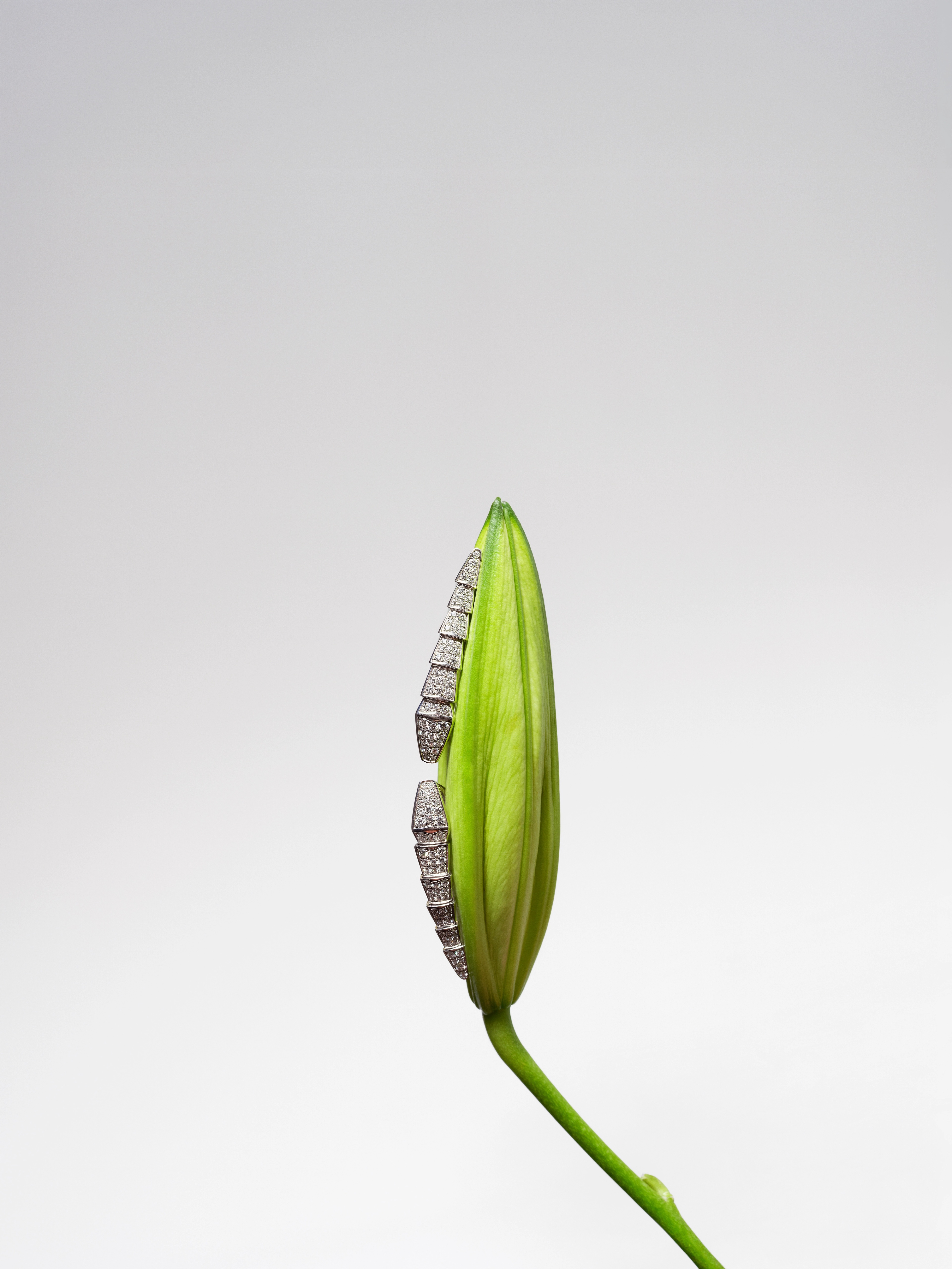 Richard Bush & Sarah Richardson | Beyond Noise