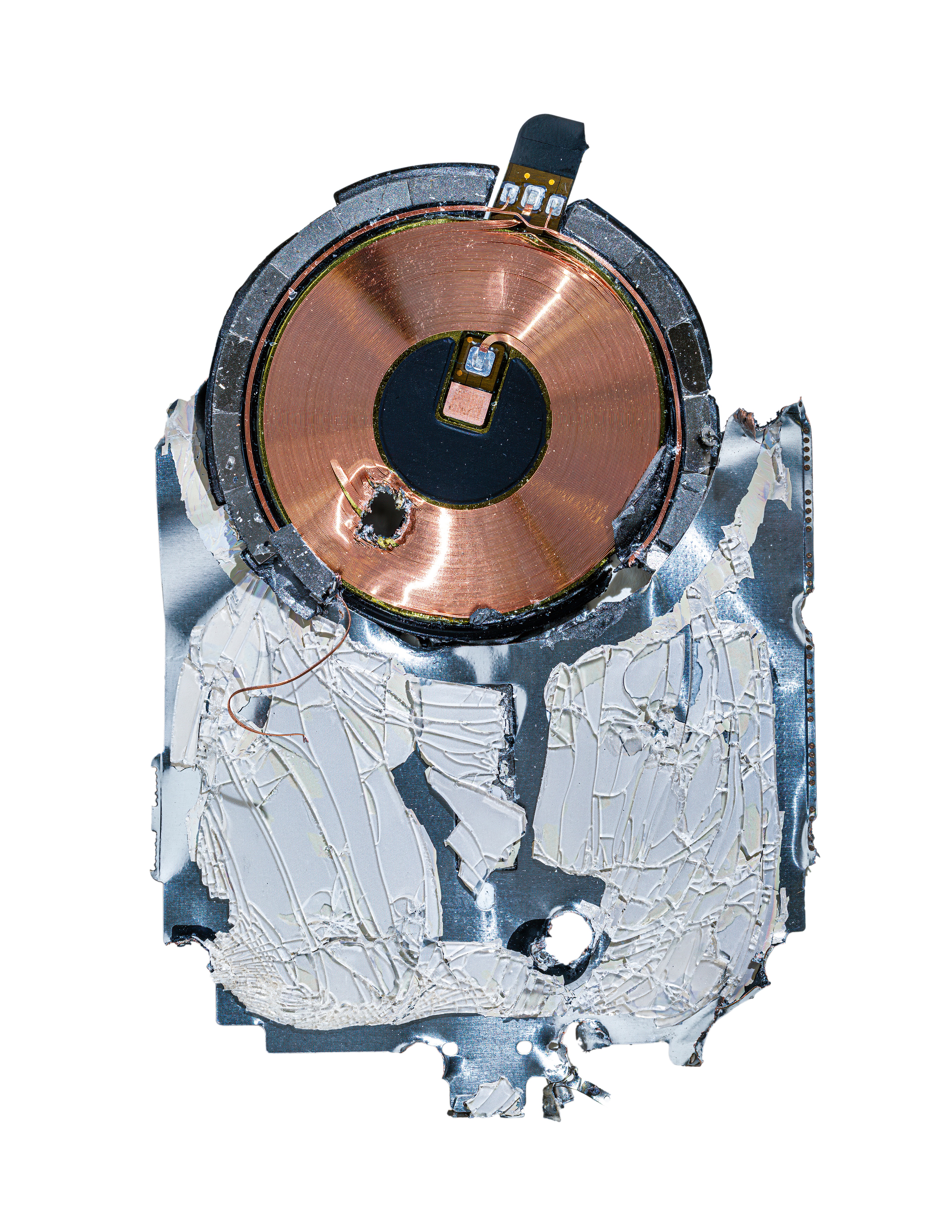 NATURE’S BLUEPRINT: DAISY THE ROBOT | Beyond Noise