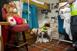 Narkotikahunden Tilly