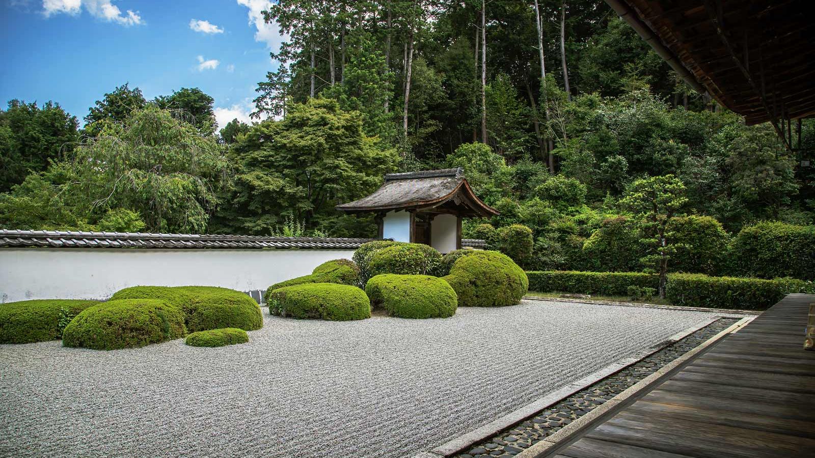 Shodenji Temple: Kyoto's Best Kept Secret
