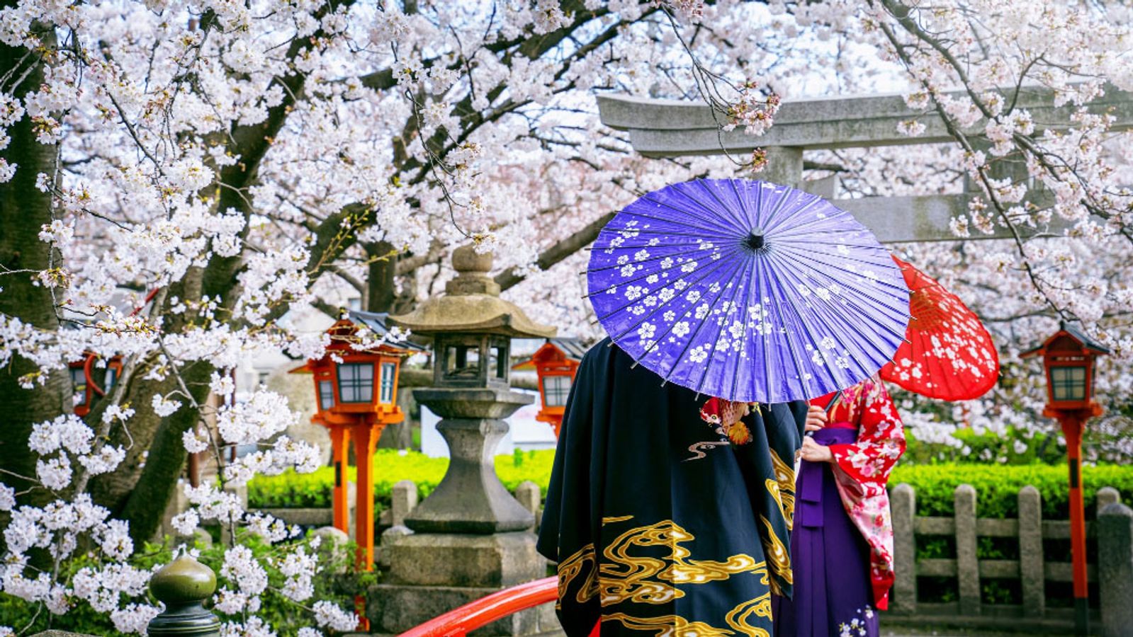 Top 20 Essential Japanese Phrases for Travelers: Quick Guide