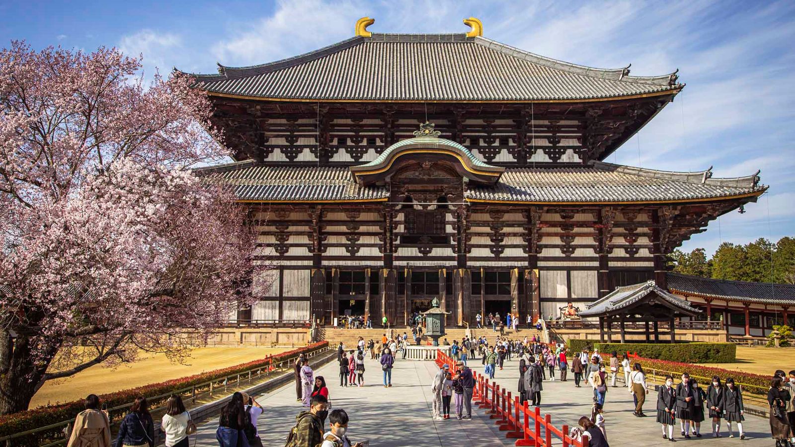 A Guide to a One-Day Tour of Nara: Japan’s First Capital