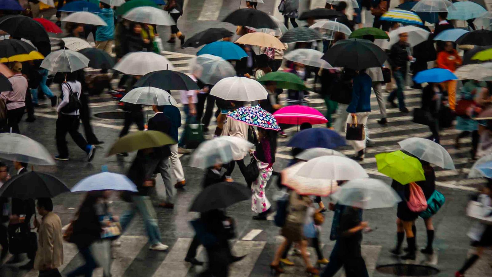 Living In Japan: Revealing Insights From a 20-Year Expat