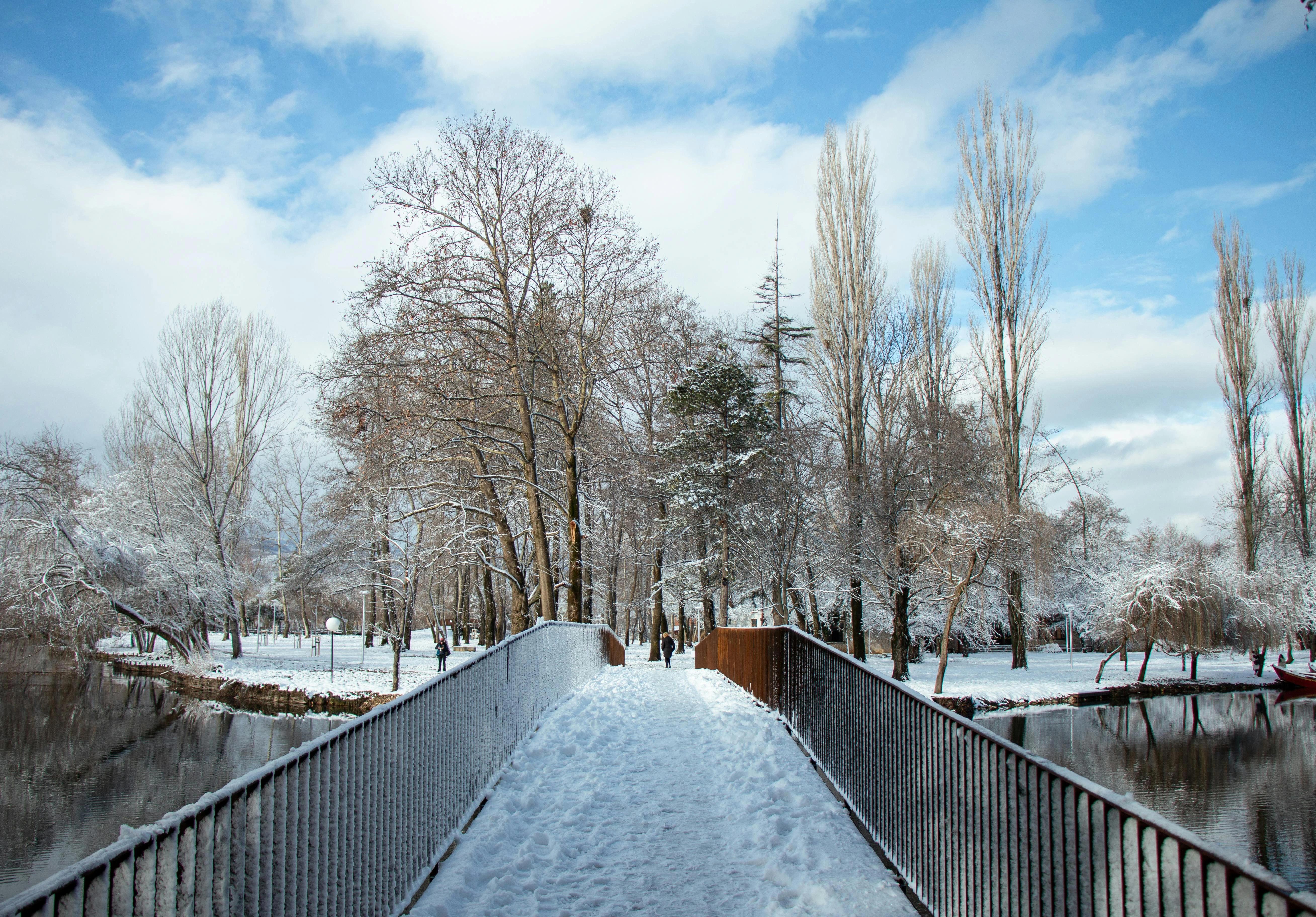 Drilon in winter - Albania