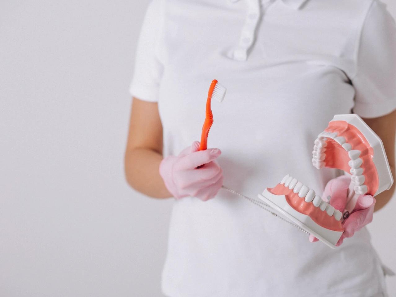 Dentist holding set of teeth and a brush