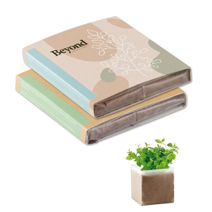A growing bag with a seedling growing in it.