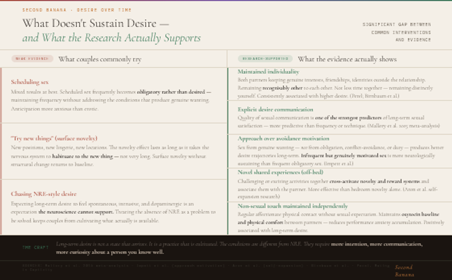Two-column infographic comparing common interventions with weak evidence versus research-supported approaches. Left column shows three interventions that don't work well: scheduling sex tends to produce obligatory rather than desired engagement; surface novelty like new positions habituates quickly and returns to baseline without structural change; chasing NRE-style spontaneous desire is an expectation the neuroscience cannot support. Right column shows five evidence-based approaches: maintained individuality and remaining genuinely other to each other; explicit desire communication, the strongest single predictor of long-term sexual satisfaction per Mallory et al. 2015 meta-analysis; approach over avoidance motivation where genuinely wanted sex sustains desire better than frequent obligatory sex per Impett et al.; novel challenging shared experiences outside the bedroom activating reward circuits via Aron et al. self-expansion research; and regular non-sexual physical touch maintained independently of sexual expectation.