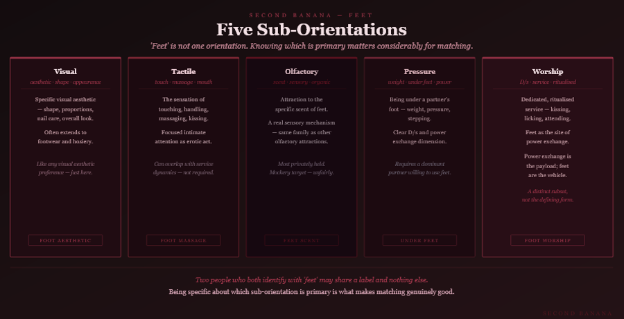Dark burgundy editorial infographic titled 