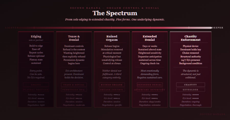 Dark burgundy editorial infographic titled 