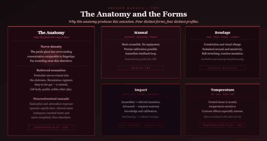 Dark burgundy editorial infographic titled 