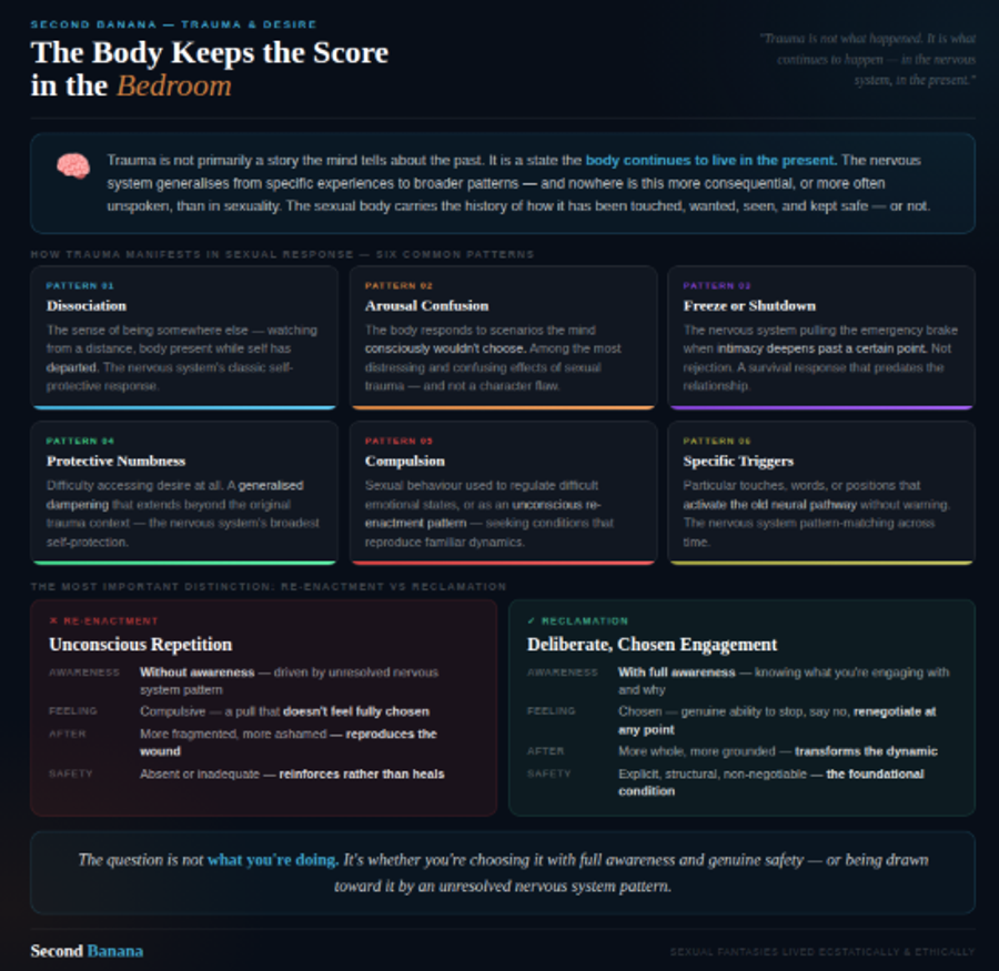 Dark background with teal and amber aurora. Opens with a somatic framing banner: trauma as a present-body state, not a past-mind story. Six cards covering how trauma manifests in sexual response: dissociation, arousal confusion, freeze/shutdown, protective numbness, compulsion, and specific triggers — each named plainly without sensationalising. Two-column re-enactment vs reclamation comparison across four dimensions: awareness, feeling, aftermath, and safety conditions. Closes with the pull quote: 