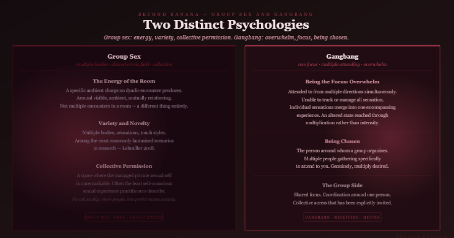 Dark burgundy editorial infographic titled
