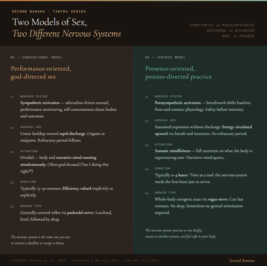 Comparison infographic showing conventional sex versus tantric practice across five dimensions: nervous system activation, arousal arc, attention quality, typical duration, and orgasm type. Conventional model uses sympathetic (fight-or-flight) nervous system with goal-directed, genitally-centred discharge. Tantric model uses parasympathetic (rest-and-connect) nervous system with sustained whole-body expansion via the vagus nerve.