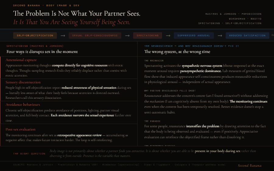 Dark background infographic on the mechanism of body image's effect on sex. A horizontal pathway strip across the top shows the Calogero and Thompson research model as a chain: self-objectification leads to sexual self-consciousness, which leads to spectatoring, which suppresses arousal, producing reduced satisfaction. Left column presents four ways spectatoring disrupts sex in the moment: attentional capture, where appearance-monitoring thoughts compete directly for cognitive resources with erotic thoughts and reliably displace rather than coexist with them; sensory disconnection, where people high in self-objectification report reduced awareness of physical sensation during sex, which researchers call sensory dissociation; avoidance behaviours, where chronic self-objectification predicts avoidance of certain positions, lighting, partner visual attention, and full-body contact, each narrowing sexual experience further; and post-sex evaluation, where retrospective appearance review continues after sex and accumulates as negative affect making future initiation harder. Right column covers the neuroscience and why partner reassurance falls short: spectatoring activates the sympathetic nervous system at the exact moment arousal requires parasympathetic dominance, with lab genital blood flow measures confirming that induced appearance self-consciousness reduces physiological arousal independent of actual appearance; reassurance addresses the concern's content but not its mechanism since the monitoring continues even when the content is temporarily resolved; paradoxically, for some people reassurance intensifies the problem by drawing attention to the evaluative frame; and Wiederman's spectatoring research finding that women who more frequently engaged in appearance monitoring during sex reported significantly lower sexual satisfaction and lower orgasm frequency.