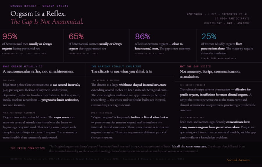 Infographic with a four-cell stat strip at top showing: 95% of heterosexual men and 65% of heterosexual women usually or always orgasm during partnered sex (Frederick et al. 2017, n=52,599); 86% of lesbian women orgasm close to the male rate, showing the gap is not anatomical; and 25% of women reliably orgasm from penetration alone per Lloyd's 2005 meta-analysis. Three columns explain: orgasm as a neuromuscular reflex requiring parasympathetic dominance, with multiple nerve pathways including the vagus nerve; the full internal anatomy of the clitoris as a wishbone-shaped structure surrounding the vaginal canal, meaning most vaginal orgasms are indirect clitoral stimulation; and the gap as a script problem — the cultural default centring penetration excludes the stimulation most necessary for female orgasm. Footer notes that the Freudian vaginal-versus-clitoral orgasm hierarchy has no anatomical basis.