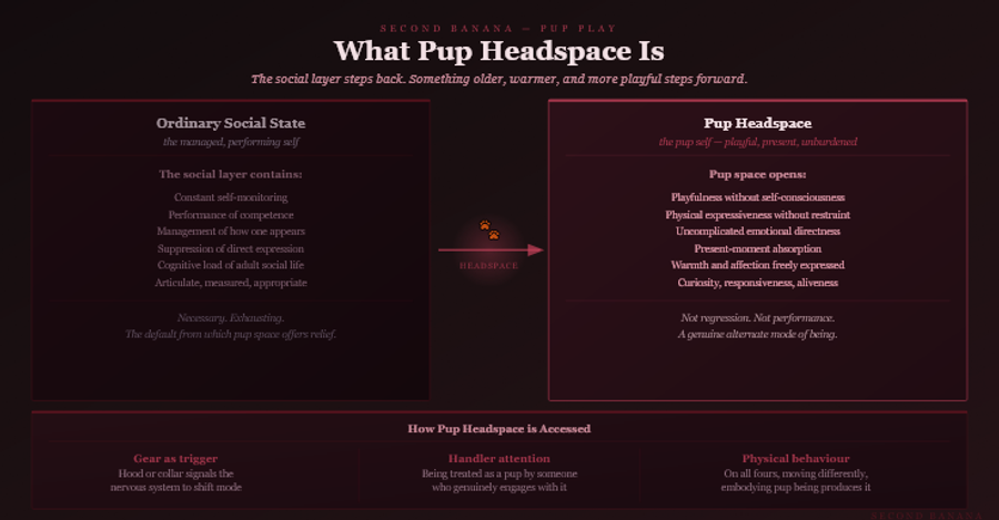 Dark burgundy editorial infographic titled 