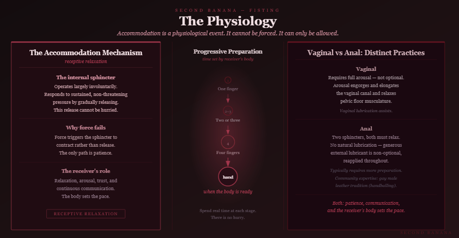 Dark burgundy editorial infographic titled 