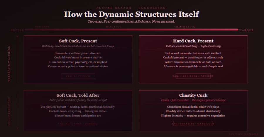 Dark burgundy editorial infographic titled