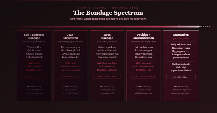 Dark burgundy editorial infographic titled