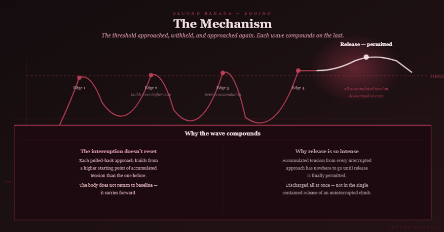 Dark burgundy editorial infographic titled 