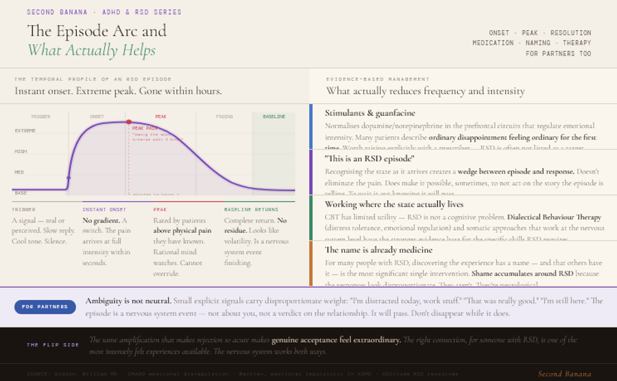 Two-part infographic. Left side shows a line chart of the RSD episode temporal profile: flat baseline, instantaneous spike at the trigger stimulus, extreme peak rated by patients above physical pain they have known, gradual decay, and complete return to baseline within minutes to hours with no residue. Four timeline annotations cover trigger, instant onset, peak, and resolution. Right side covers four evidence-based management approaches: ADHD medication normalising prefrontal dopamine and norepinephrine so ordinary disappointment feels ordinary; naming the episode in real time to create metacognitive distance between the state and the response; DBT and somatic approaches that work at the nervous system level rather than the cognitive level; and community recognition where discovering the experience has a name significantly reduces the shame that accumulates around responses that appear disproportionate. A partner-focused strip notes that ambiguity is not neutral for the RSD nervous system, that small explicit communications carry disproportionate weight, and that the episode is a nervous system event rather than a relational verdict. Footer notes the amplification works in both directions — genuine acceptance feels correspondingly extraordinary.