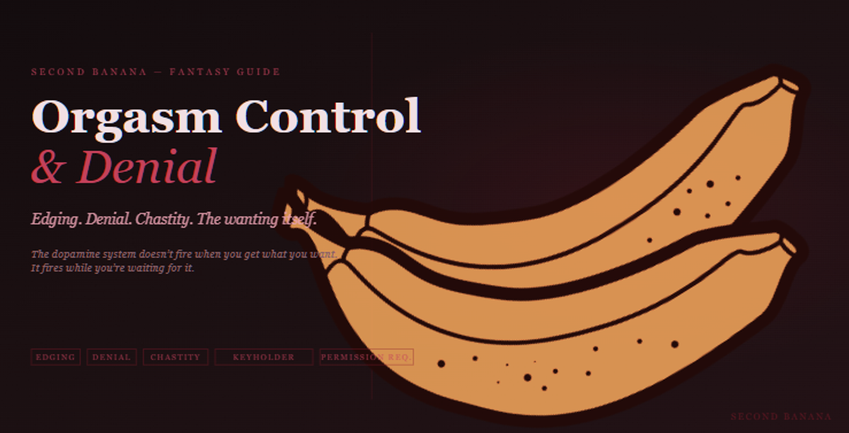 Dark editorial header image for the Second Banana orgasm control and denial guide, burgundy and rose palette. A near-black background with a deep red rule across the top. Left column reads "Orgasm Control & Denial" across two lines in dusty rose-white bold and rose italic serif type, with the subtitle "Edging. Denial. Chastity. The wanting itself." and the tagline "The dopamine system doesn't fire when you get what you want. It fires while you're waiting for it." Tag pills along the bottom left read Edging, Denial, Chastity, Keyholder, Permission Req. in deep rose. A banana illustration in warm rose-red tones lies diagonally across the right side. Second Banana branding lower right.