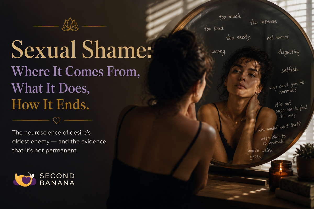 Sexual Shame: Where It Comes From, What It Does, How It Ends | Second Banana header image