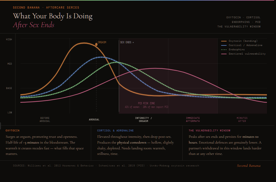 Line chart showing four neurochemical curves across a timeline from before arousal through the post-sex period. Oxytocin surges at orgasm and drops rapidly due to its three-minute blood half-life. Cortisol and adrenaline rise through intensity and fall after sex ends. Endorphins peak slightly later and drop more gradually. Emotional vulnerability peaks immediately after sex ends and persists for minutes to hours. A shaded risk zone highlights the postcoital dysphoria window, noting that 41% of women and 20% of men report PCD. Bottom strip explains that what fills the space left by the oxytocin drop matters, that the cortisol comedown needs warmth and stillness, and that emotional defences are genuinely lower in the vulnerability window.