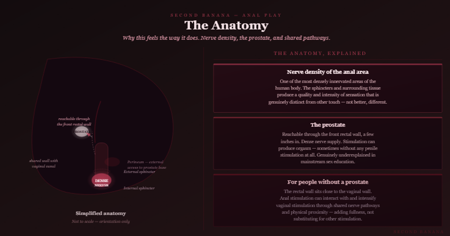 Dark burgundy editorial infographic titled