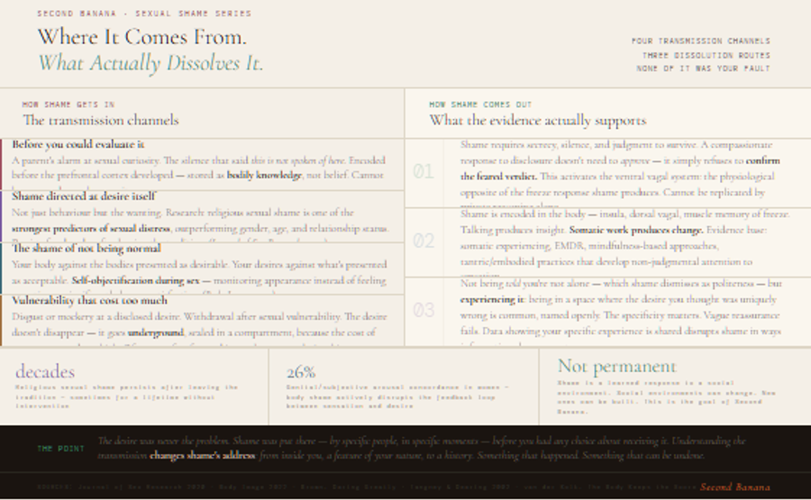 Infographic covering three types of post-sex drop and practical aftercare for each. Top row: sub drop with immediate to 24-hour onset including sadness, fatigue, fragility, and disconnection; dom drop with delayed onset including flatness, guilt, doubt, and emotional withdrawal; and the unnamed drop affecting 41% of women and 20% of men in non-BDSM contexts. Lower section provides two columns of practical guidance: partner aftercare covering staying present, providing warmth, non-sexual touch, food and water, verbal acknowledgment, and genuine check-ins; and solo aftercare covering warm showers, warm food and drink, stillness before task-switching, follow-up texts, negotiating needs before encounters rather than during, and the principle that aftercare flows in both directions including to dominants and initiators.