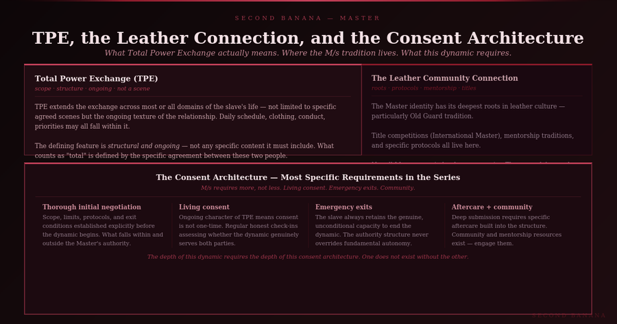 Dark burgundy editorial infographic titled 