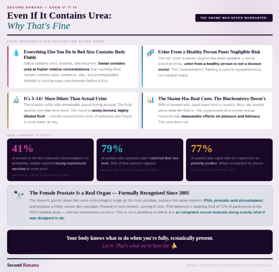 Warm lavender background. Four argument cards: everything in sex involves body fluids, urine from a healthy person poses negligible risk, it's 3–14x more dilute than actual urine, and the shame has real costs while the biochemistry doesn't. Three dark stat cards: 41% of women have experienced squirting (Hensel 2024), 79% say it enriches their sex lives (Wimpissinger 2013), 77% rate it as primarily positive (Påfs 2024). Bottom panel on the female prostate — formally recognised since 2001, same embryological origin as male prostate, PSA in 71% of squirting fluid samples. Closes with: 